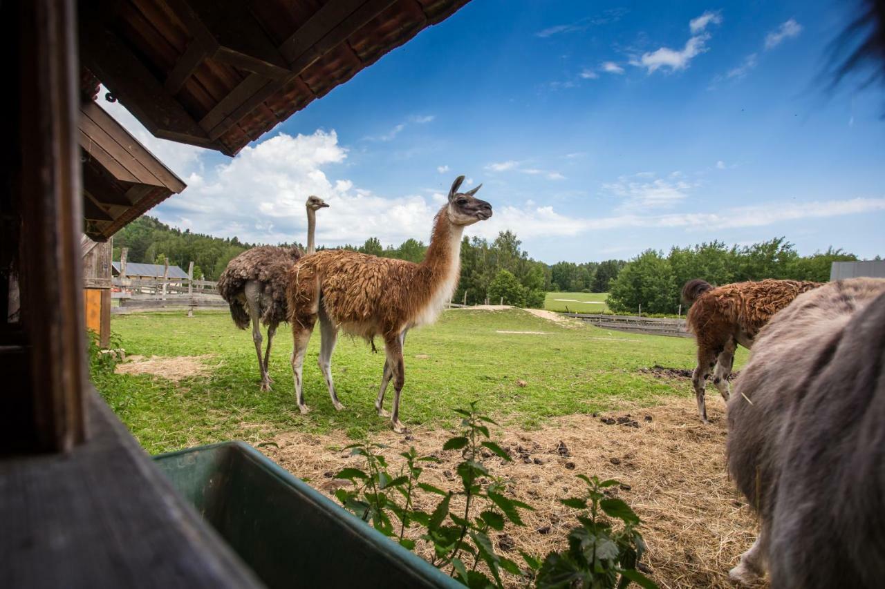 Resort Malevil Jablonné v Podještědí 외부 사진